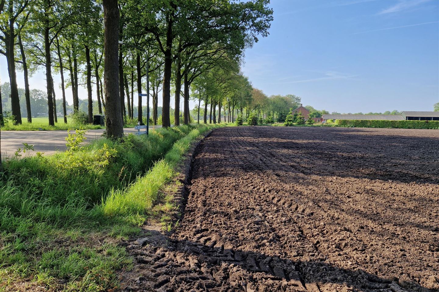 Bekijk foto 4 van Neterselseweg