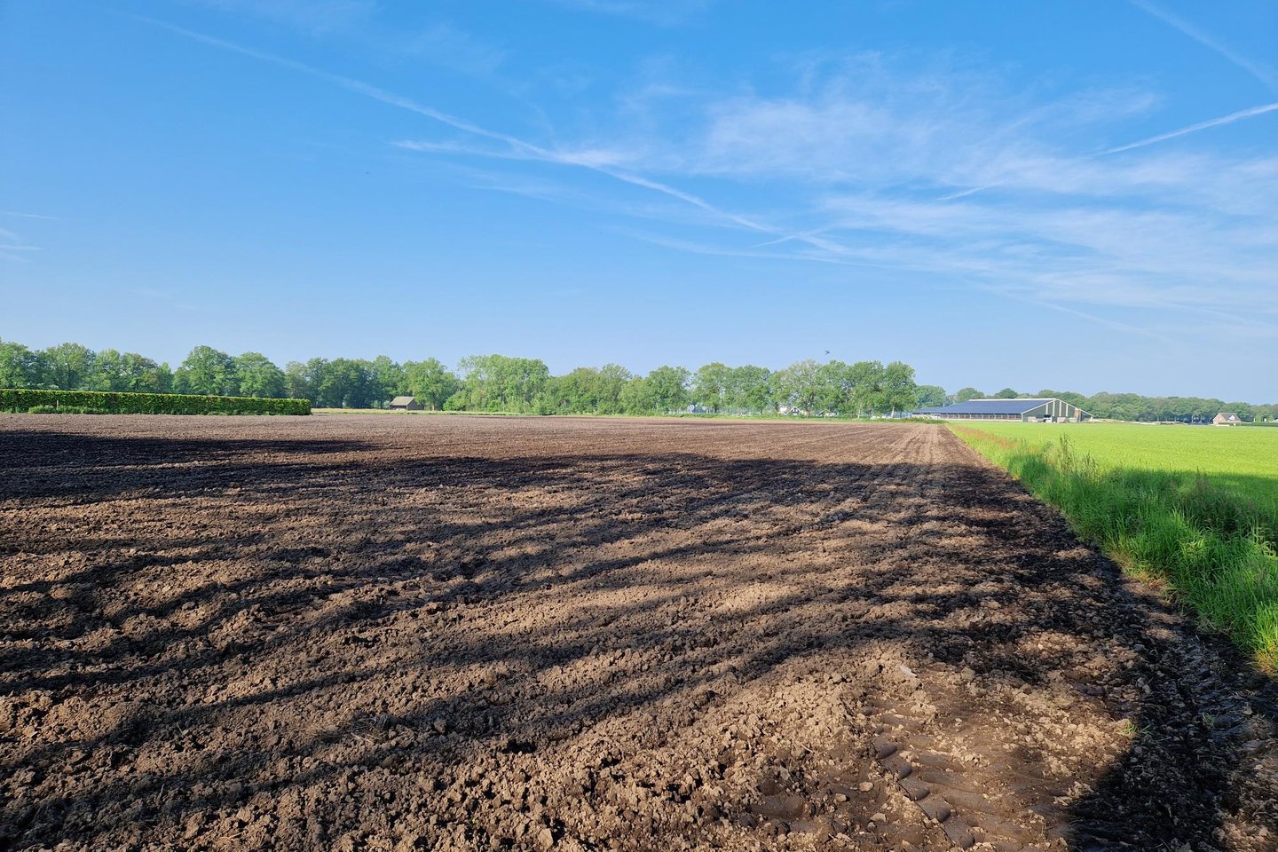 Bekijk foto 5 van Neterselseweg