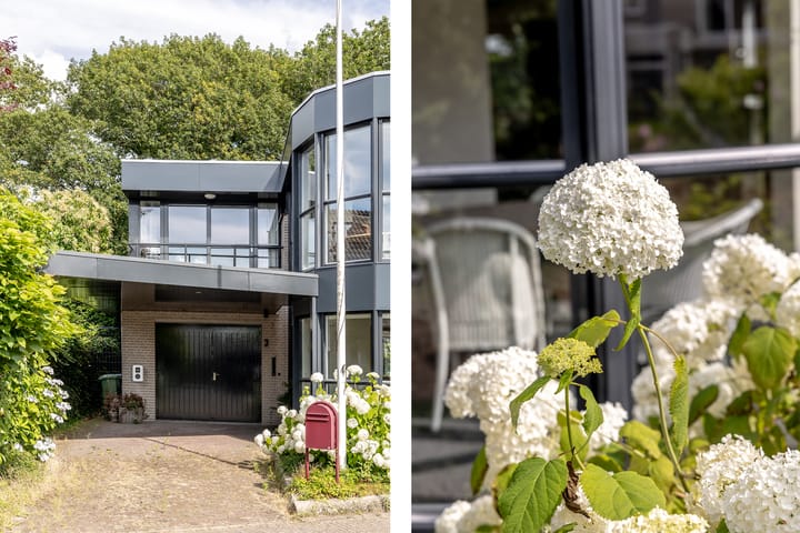 Foto 40 van Karveel 3