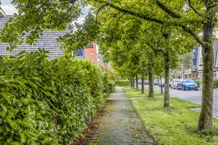 Foto 36 van Van Catsstraat 1