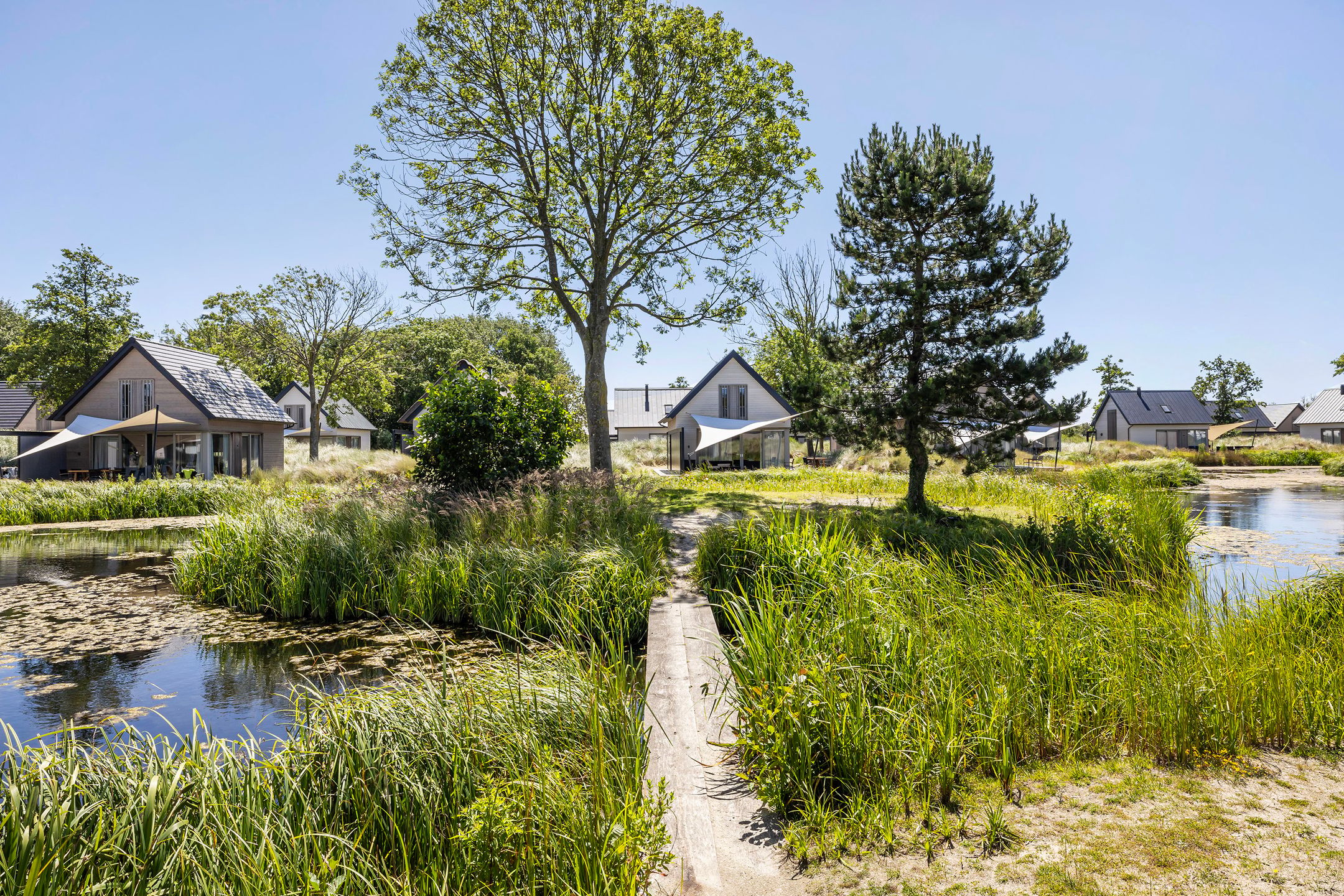 Photo 36 of Ridderstee 253