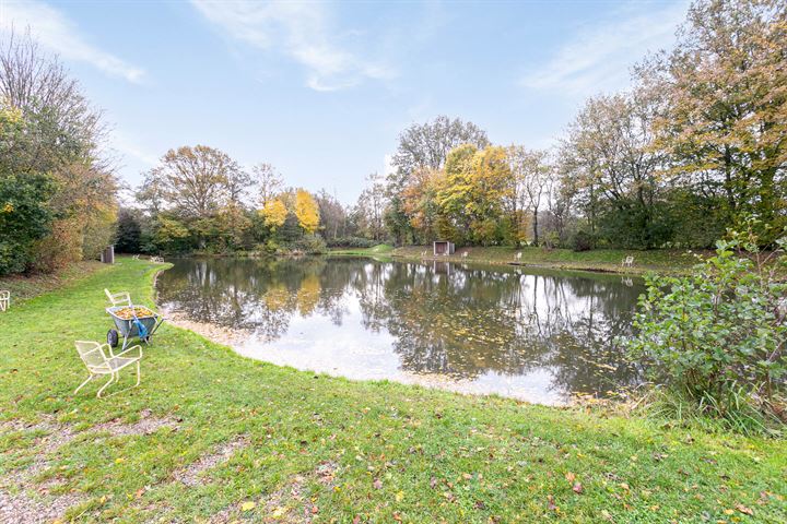 Bekijk foto 35 van Oude Goorseweg 10