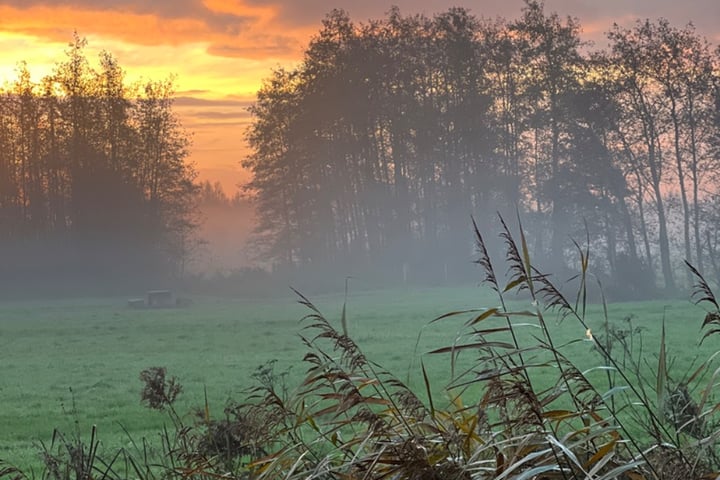 Bekijk foto 47 van Parelmoervlinder 25