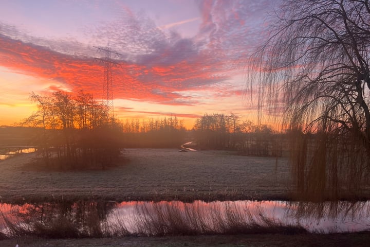 Bekijk foto 49 van Parelmoervlinder 25