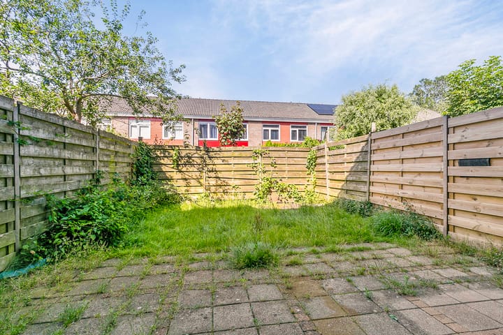 Photo 21 of Boogschutter 49