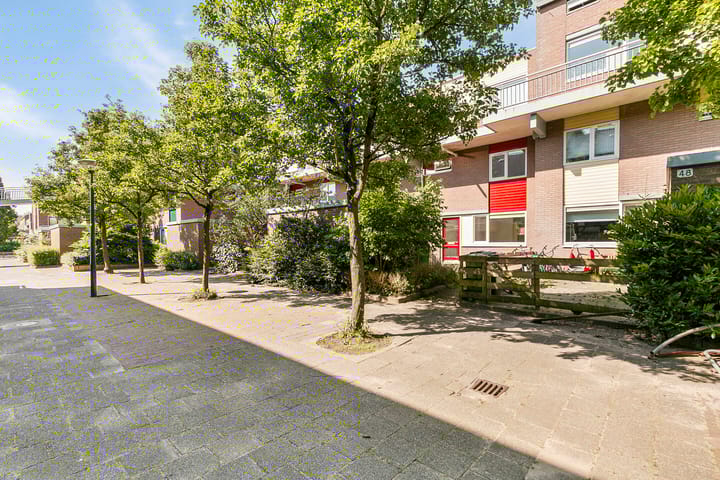 Photo 22 of Boogschutter 49