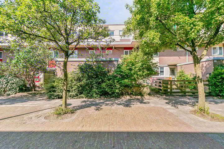 Photo 24 of Boogschutter 49