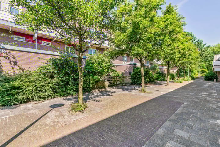 Photo 23 of Boogschutter 49