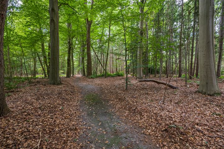 View photo 29 of Oude Zwolseweg 3