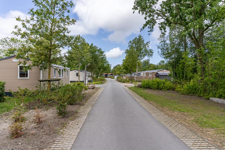 Foto 12 van Schoenerbult 08