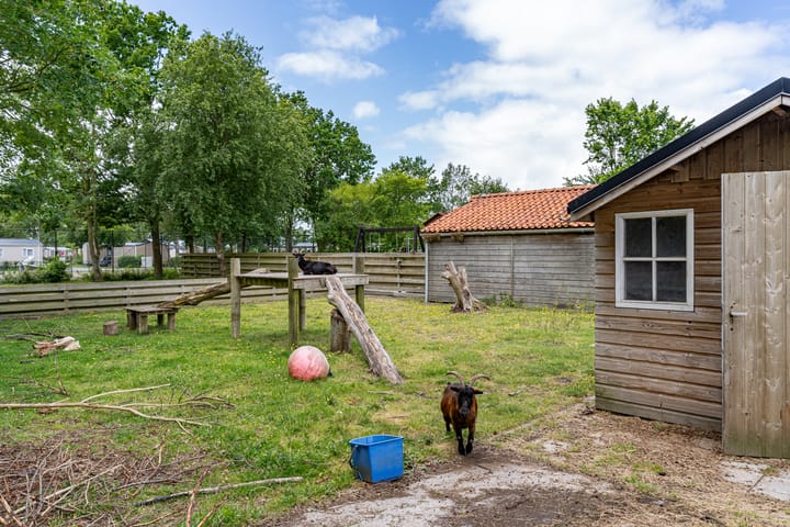 Foto 34 van Schoenerbult 08