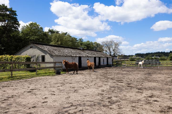 Bekijk foto 37 van Hooiweg 171