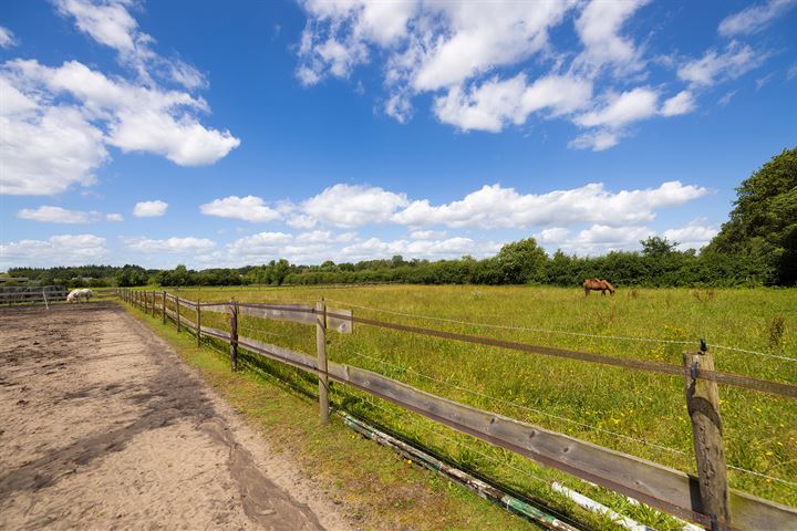 Bekijk foto 38 van Hooiweg 171