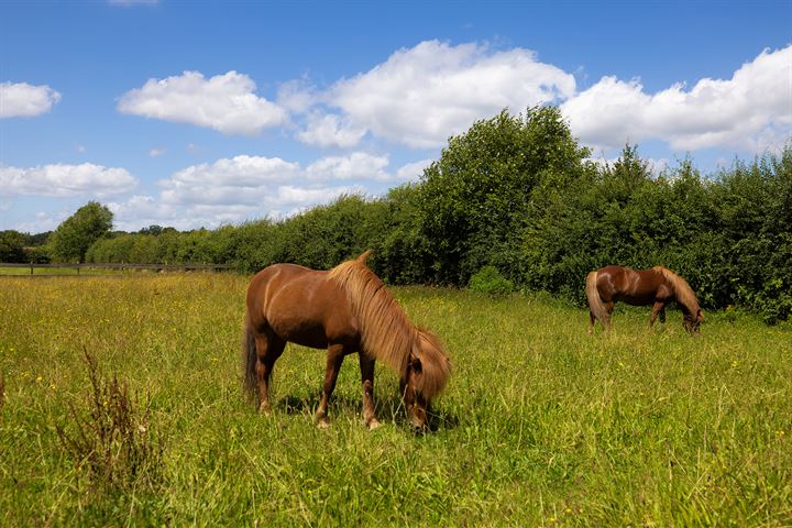 Bekijk foto 40 van Hooiweg 171