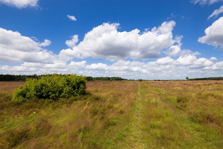 Bekijk foto 49 van Hooiweg 171