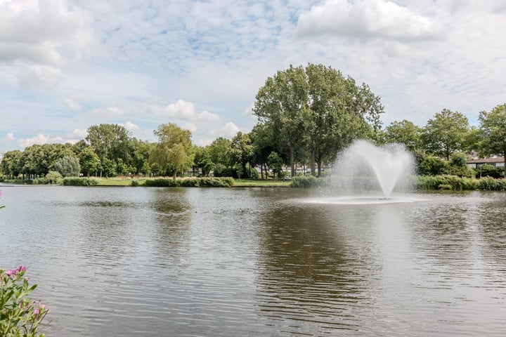 Bekijk foto 5 van Vrijheer van Eslaan 363