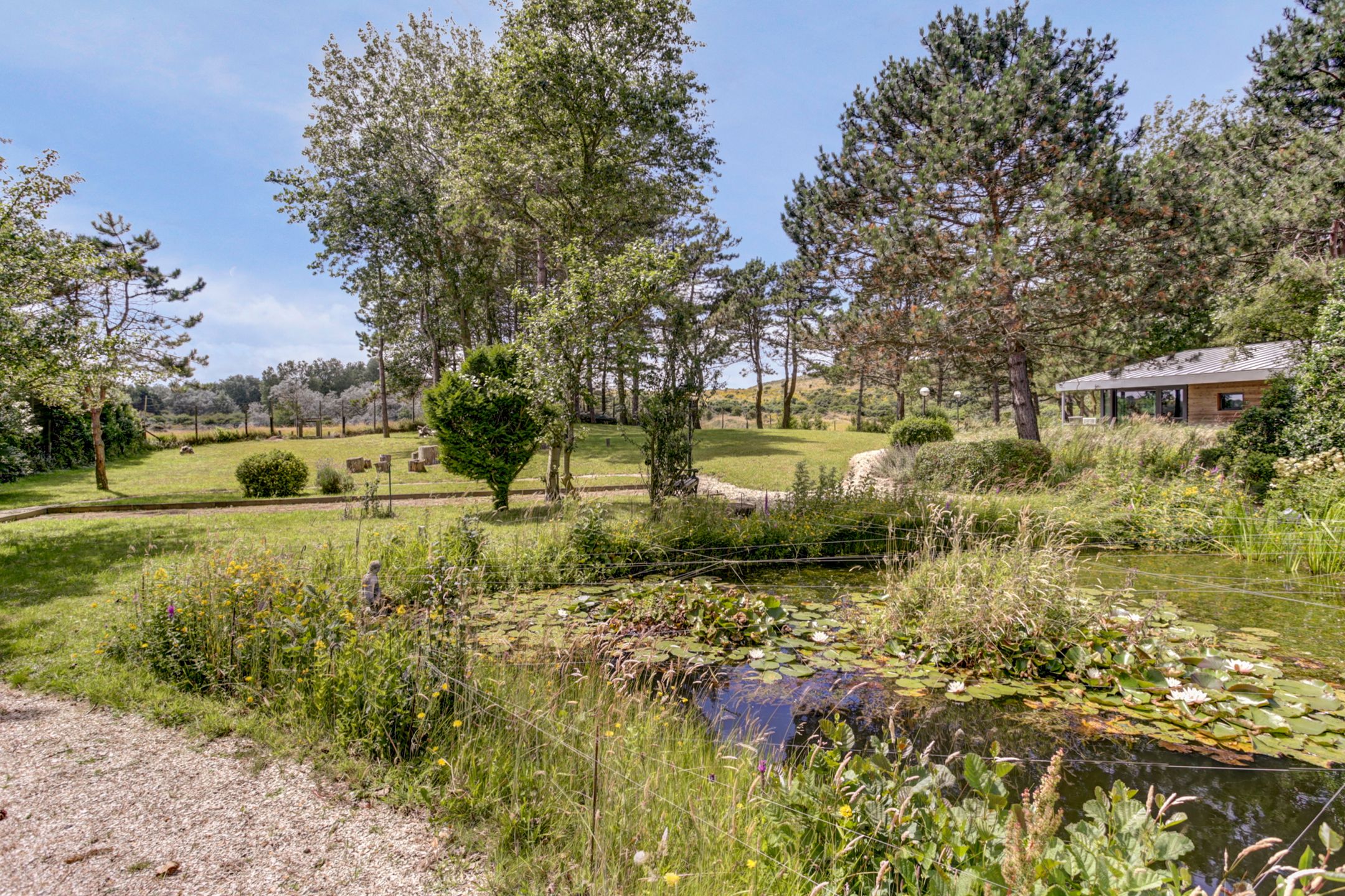 Foto 6 van Torenweg 57