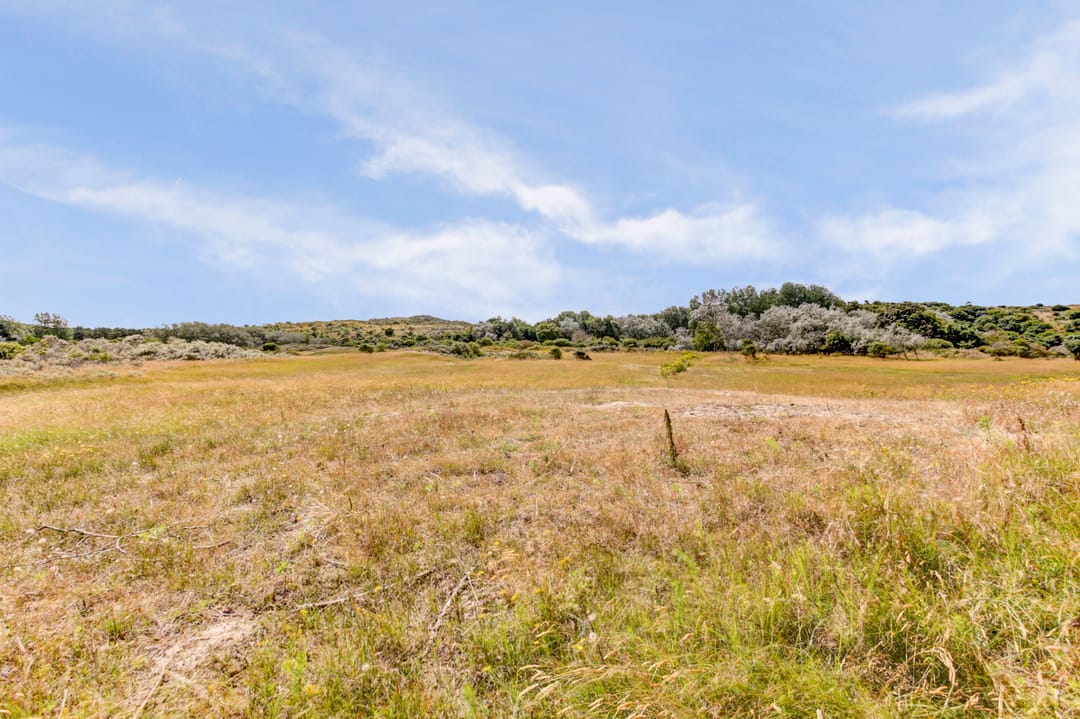 Foto 7 van Torenweg 57