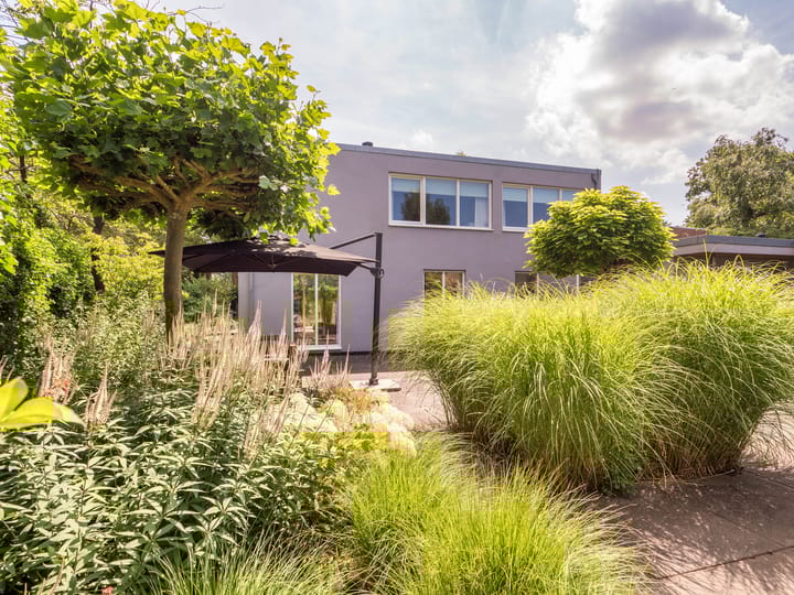 Foto 5 van Hallstein-Nes 21