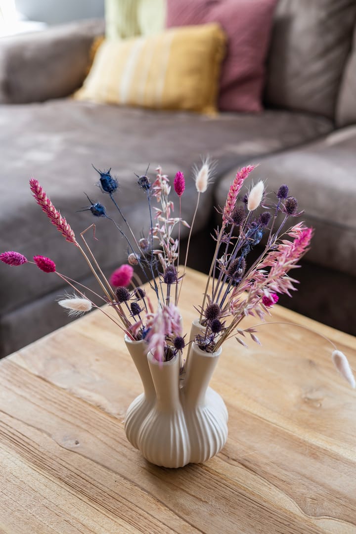 Photo 27 of Dammeloane 1-A