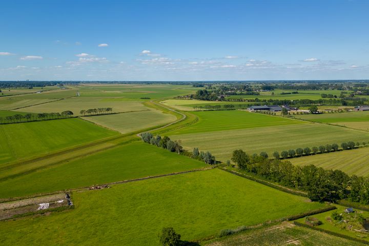 Bekijk foto 3 van de Stege 10