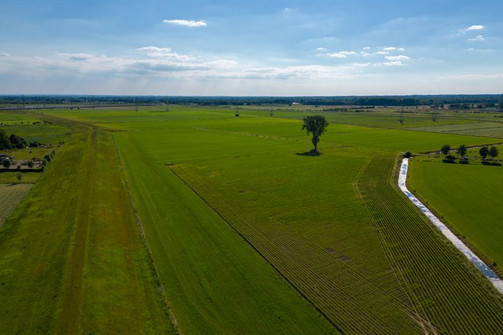 Bekijk foto 5 van de Stege 10