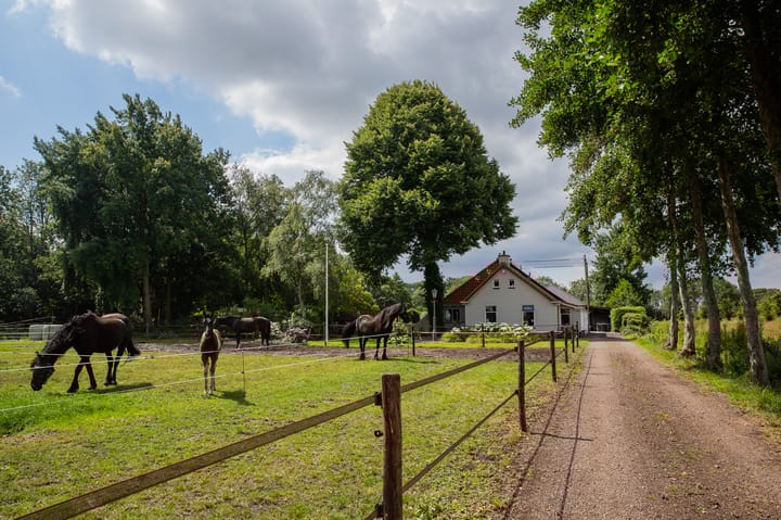 Foto 3 van Hoofdweg 6