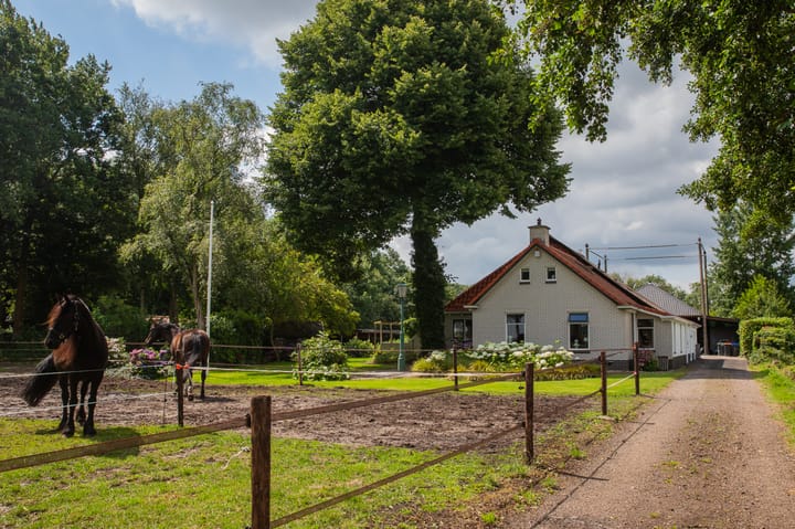 Foto 7 van Hoofdweg 6