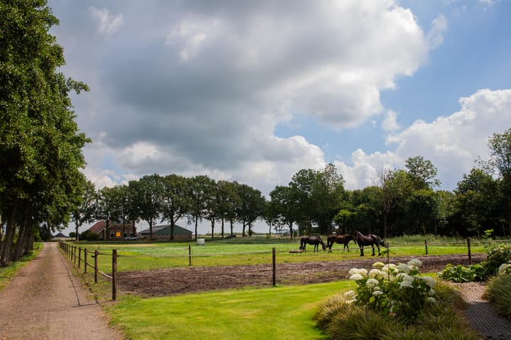 Foto 8 van Hoofdweg 6