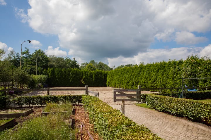 Foto 53 van Hoofdweg 6