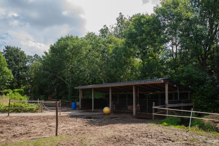 Foto 54 van Hoofdweg 6