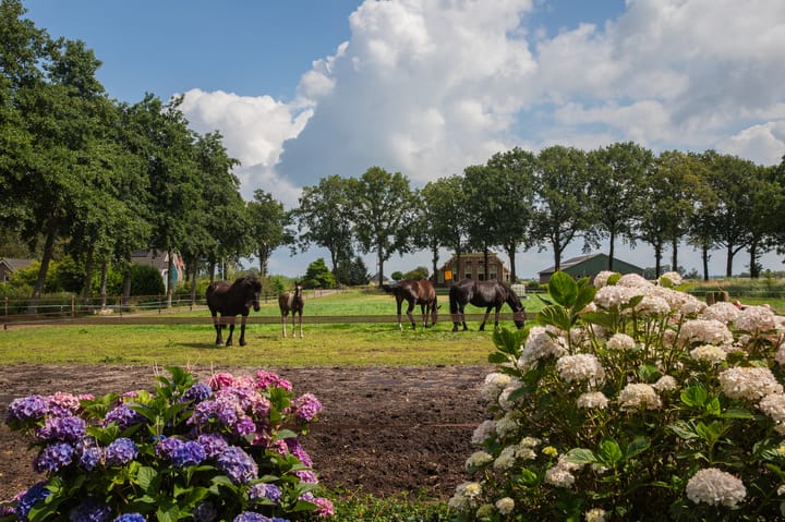 Foto 66 van Hoofdweg 6