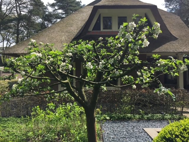 Foto 37 van Dennenweg 2