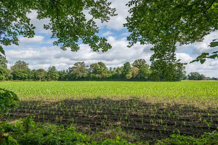 Bekijk foto 28 van Kemperjanshuisweg 4