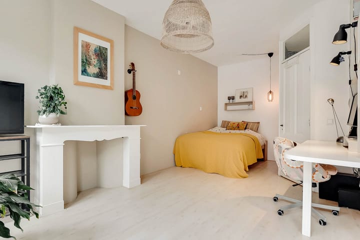 Foto 28 van Tweede Jan Steenstraat 35-H