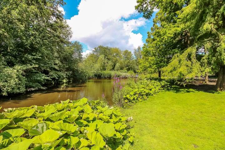 Foto 41 van Tweede Jan Steenstraat 35-H