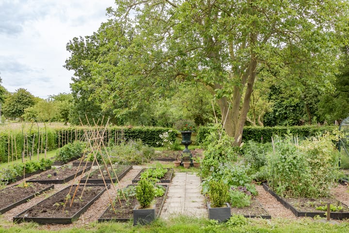 Foto 44 van Tripkouw 2