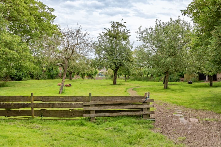 Foto 45 van Tripkouw 2