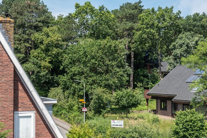 Photo 53 of Duinlustparkweg 52