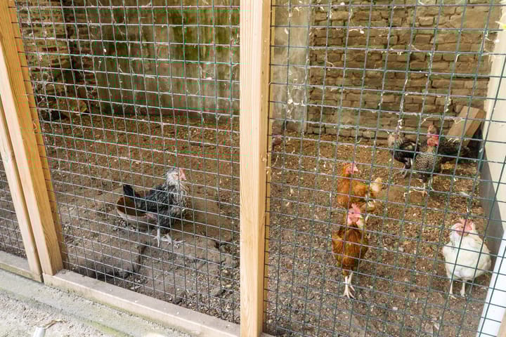 Foto 58 van Aasterbergerweg 71