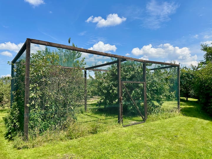 Foto 8 van Olieweg 8