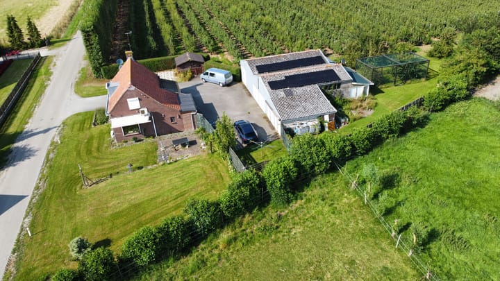 Foto 14 van Olieweg 8