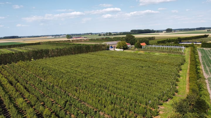 Foto 15 van Olieweg 8