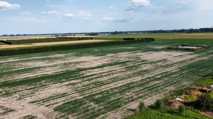 Foto 16 van Olieweg 8