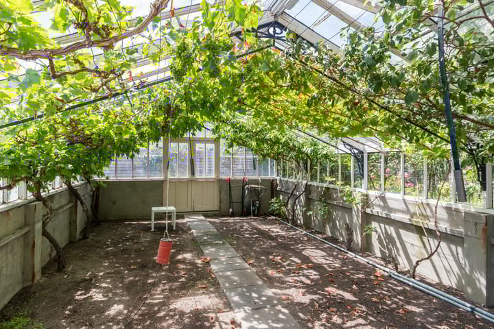 Foto 43 van Noordweg 49