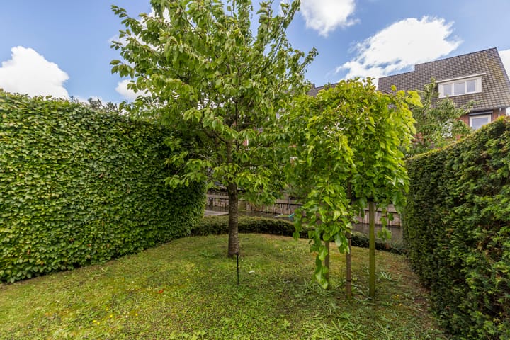 Foto 45 van Noordweg 49