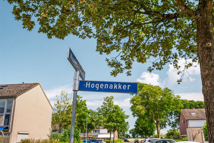 Bekijk foto 46 van Hogenakker 53