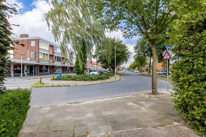 Bekijk foto 34 van Hoornbladstraat 41