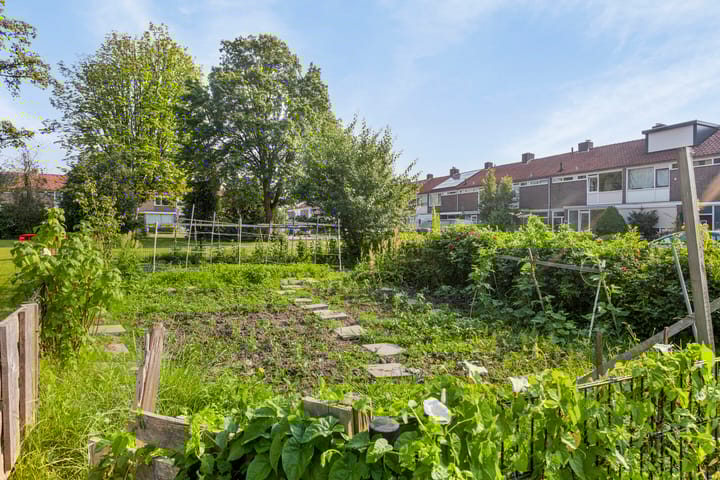 Foto 35 van Hectorlaan 10