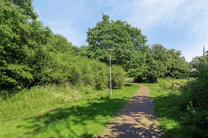 Bekijk foto 42 van Paltrokmolen 67